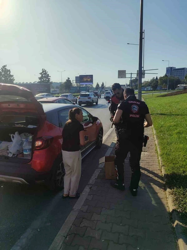 Bursa’da trafikte yavru kedi alarmı..Polisler 4 araca giren kediyi kurtardı
