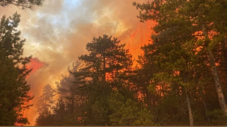 Bursa’daki orman yangını 50 dekarlık alanda etkili oluyor

