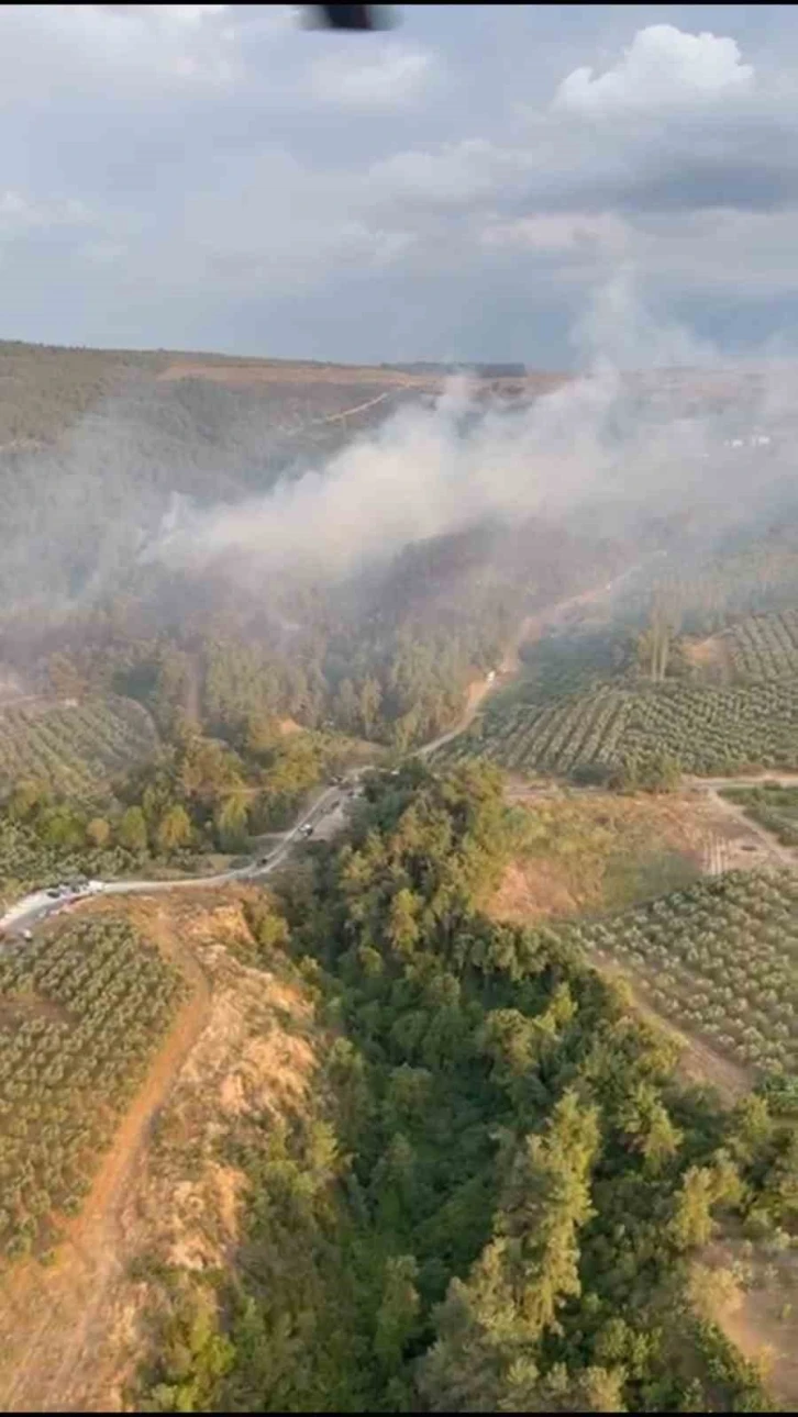 Bursa’daki yangın havadan görüntülendi
