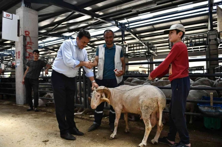 Bursa kurban pazarında hareketli günler
