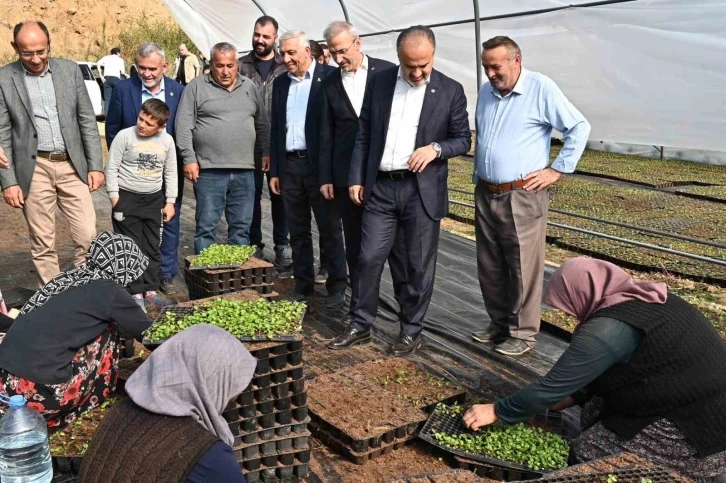 Bursa’nın çiçekleri, dağ bölgesinde açıyor
