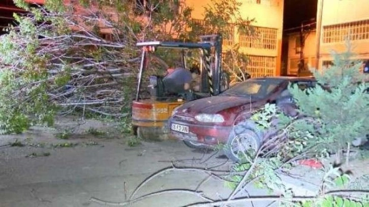 Bursa'da kökü sökülen ağaç 3 otomobilin üstüne devrildi