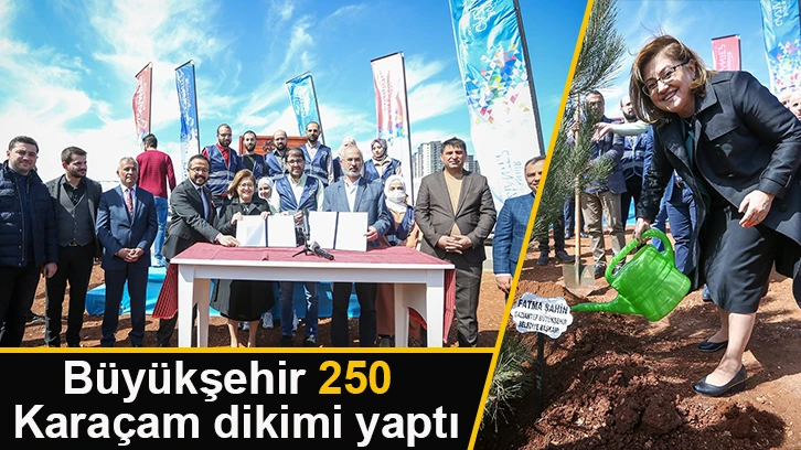 Büyükşehir 250 karaçam dikimi yaptı