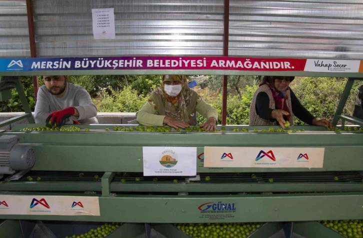 Büyükşehir Belediyesinden Mut’a bir erik boylama makinesi daha
