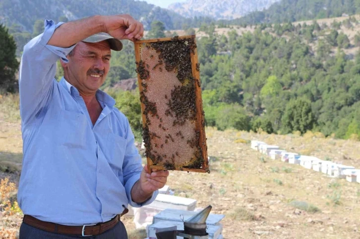 Büyükşehir Serikli arıcıların yüzünü güldürdü
