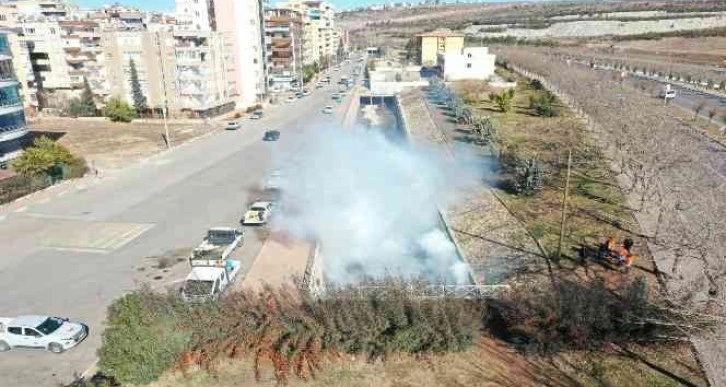 Büyükşehirden vektörle mücadele çalışması