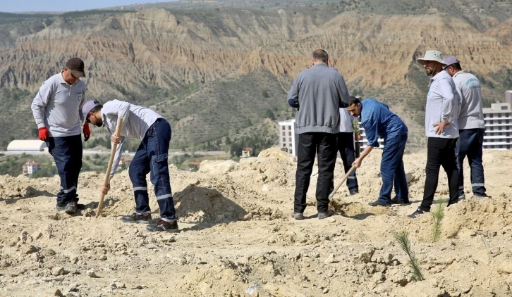 ÇAKÜ bin fidanı daha toprakla buluşturdu
