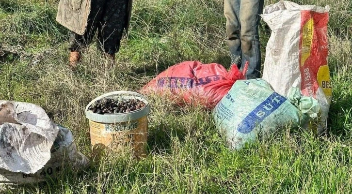 Çaldıkları 155 kilogram zeytin ile suçüstü yakalandılar
