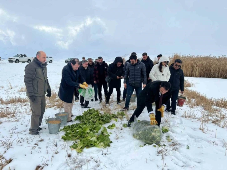 Çaldıran’da yaban hayvanları için yemleme çalışması yapıldı
