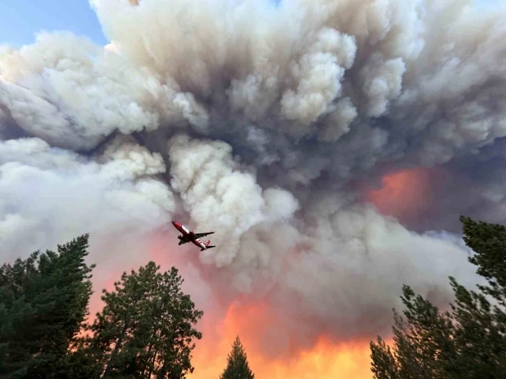 California’nın en büyük orman yangını: 145 bin dönümden fazla alan kül oldu
