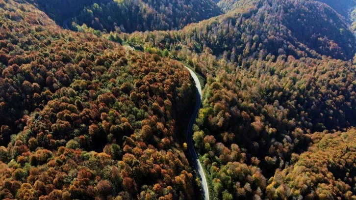 Çam Dağı’nın hayran bırakan sonbahar manzarası
