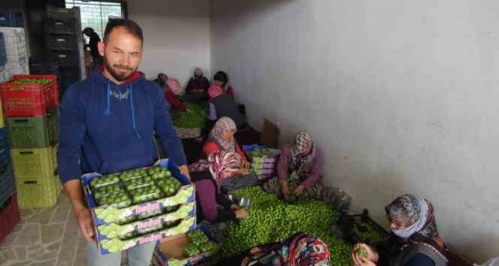 Can eriğinin kilosu 20 ile 100 lira arasında değişiyor