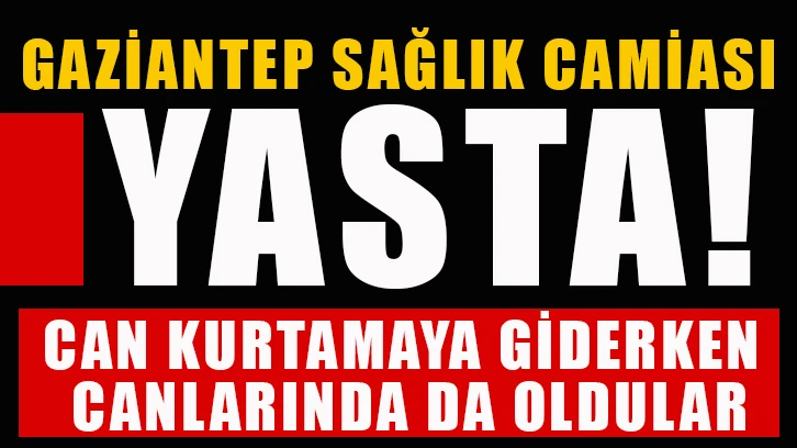 Can kurtarmaya giderken canlarından da oldular