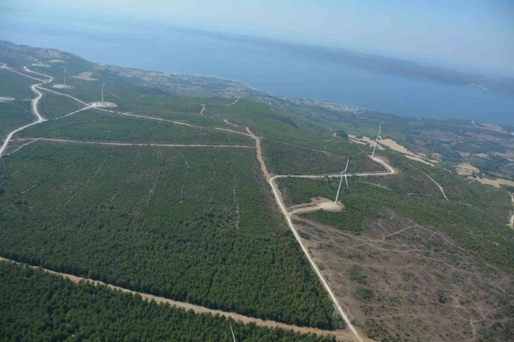 Çanakkale’de 2008 yılında küle dönen alan dikilen 2 milyondan fazla fidanla yeniden yeşillendi
