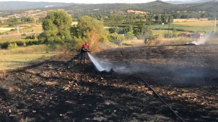 Çanakkale’de anız yangını
