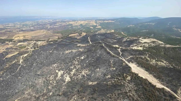 Çanakkale’de bu yıl 114 orman yangınında 4 bin 260 hektar ormanlık alan zarar gördü
