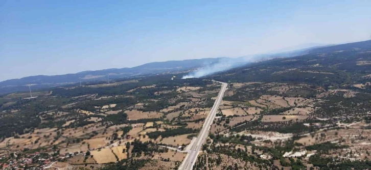 Çanakkale’de kaza yapan araç orman yangınına neden oldu
