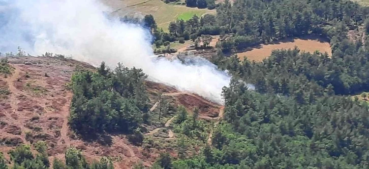 Çanakkale’de orman yangını
