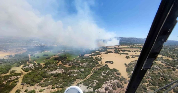 Çanakkale’de orman yangını
