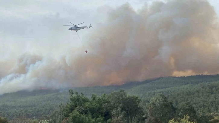 Çanakkale’de orman yangını...Bir köy boşaltıldı
