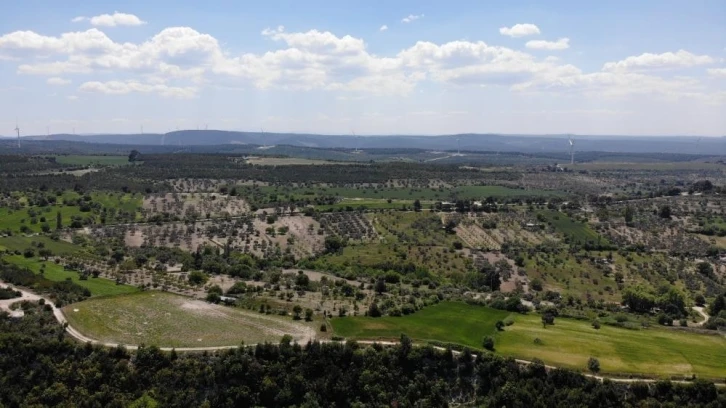 Çanakkale’de ormanlık alanlara girmek yasaklandı
