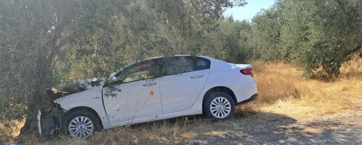 Çanakkale’de otomobil zeytin ağacına çarptı: 1 ölü, 1 yaralı
