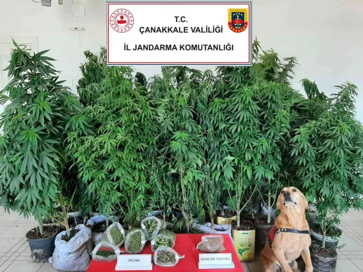 Çanakkale’de uyuşturucu operasyonları: 7 gözaltı
