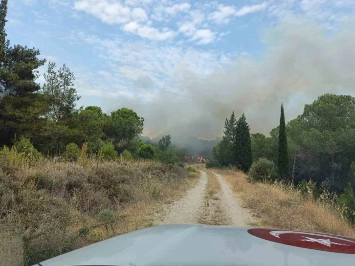 Çanakkale’deki orman yangını kontrol altına alındı
