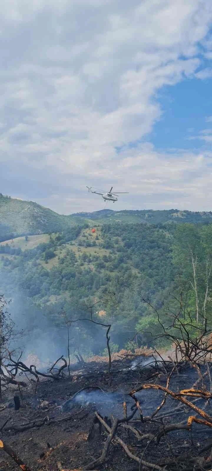 Çanakkale’deki orman yangını kontrol altında
