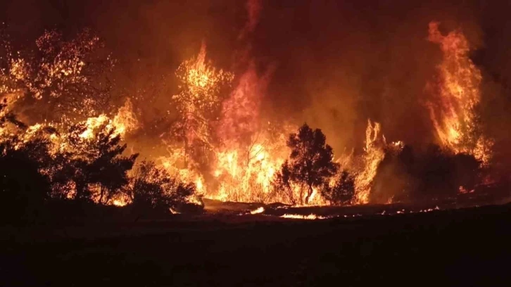 Çanakkale ruhuyla mücadele ettiler, yangını 48 saat dolmadan kontrol altına aldılar
