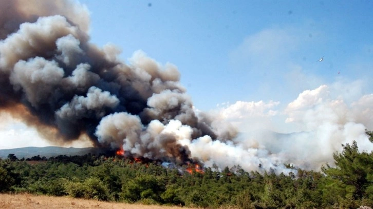 Çanakkale'de orman yangını! Yangına müdahale ediliyor