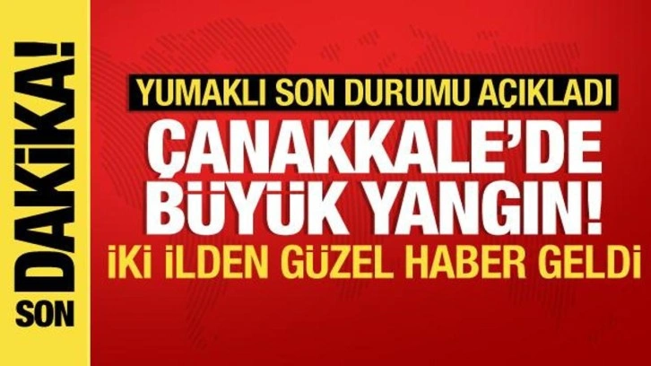 Çanakkale'de orman yangınının ilerlemesi durdu: Bakan Yumaklı'dan açıklama