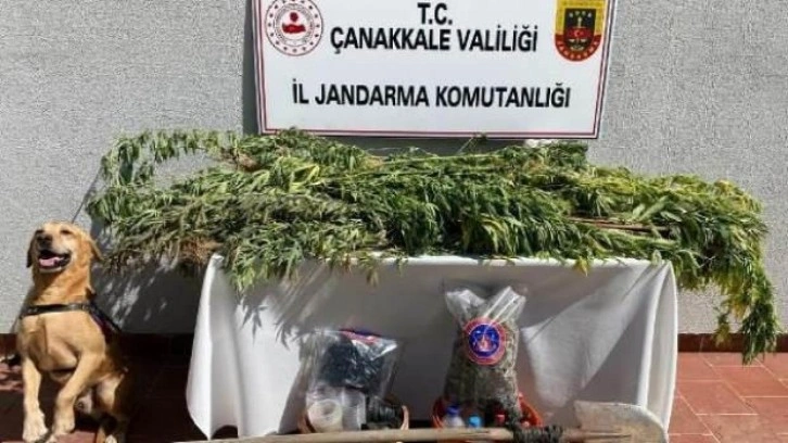 Çanakkale'de uyuşturucu operasyonu: 3 gözaltı