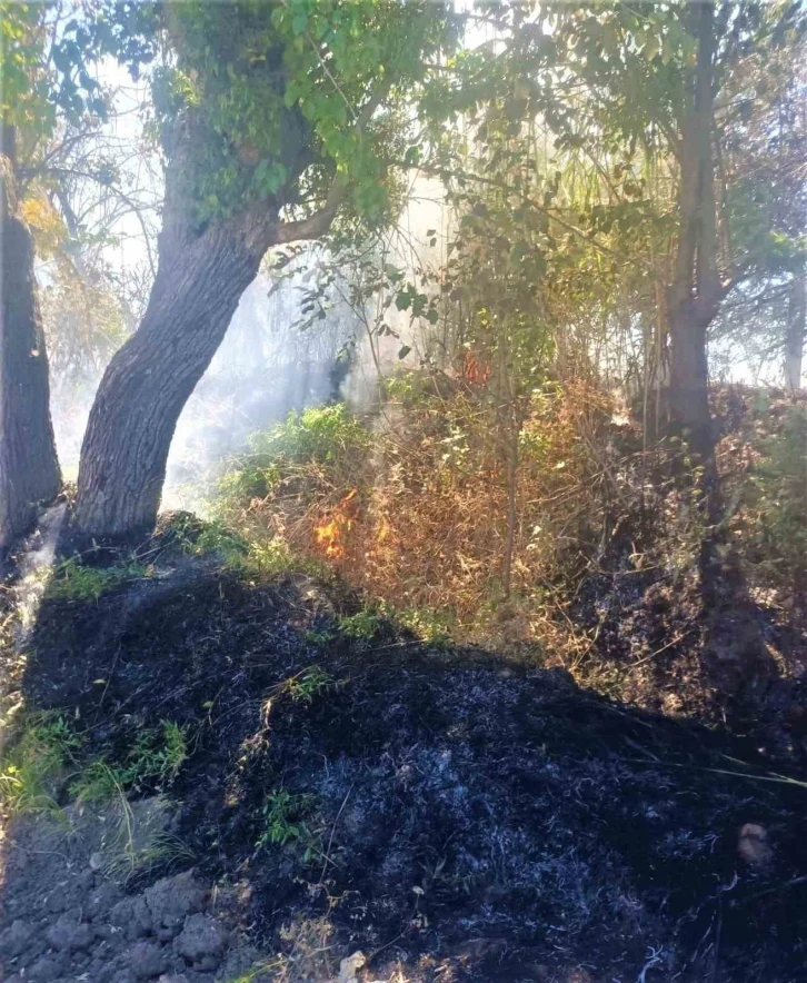 Çankırı’da çıkan ot yangını kısa sürede söndürüldü
