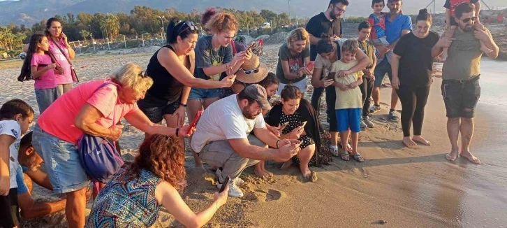 Caretta carettalar Aydın’ı sevdi
