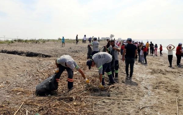 Caretta carettaların yuvalandığı Kazanlı Sahili temizlendi