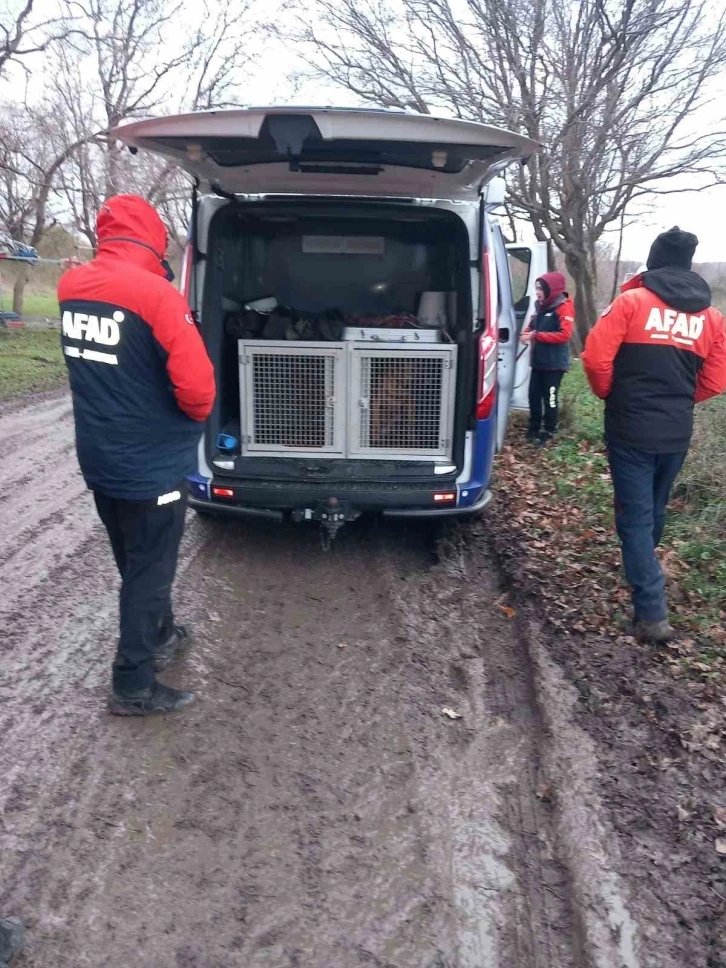 Çatalca’da alabora olan teknede suya düşen 1 kişi için arama çalışmaları sürüyor
