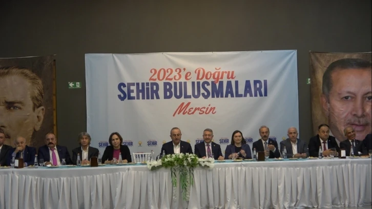 Çavuşoğlu: "Biz güçlünün değil haklının yanındayız"
