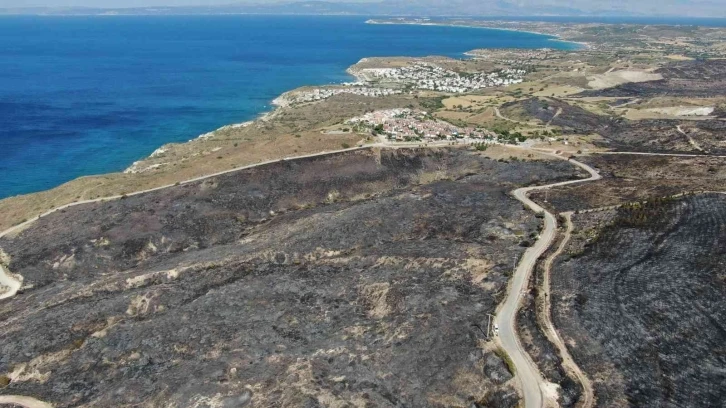 Çeşme yangını kontrol altında
