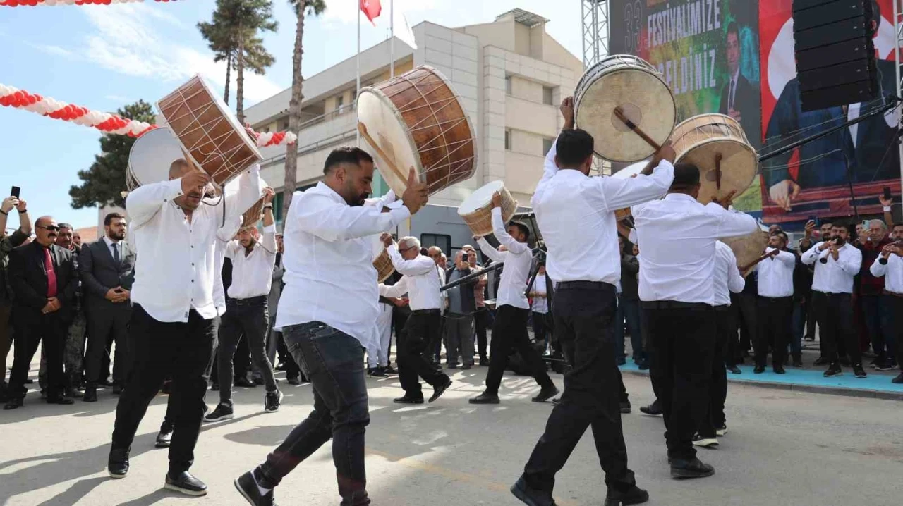 Ceviz Kültür ve Sanat Festivali başladı
