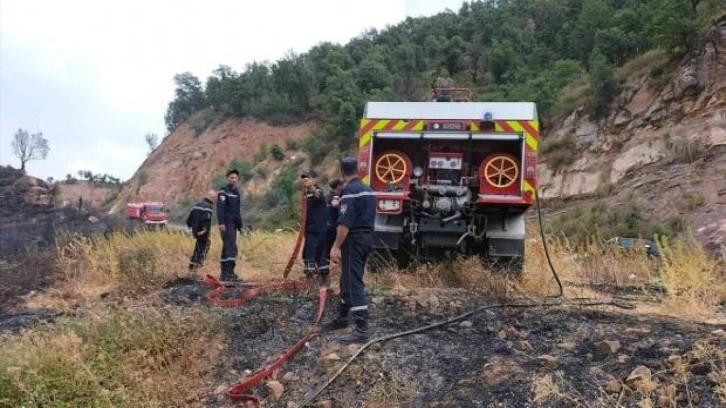 Cezayir’deki orman yangınlarında 26 kişi hayatını kaybetti