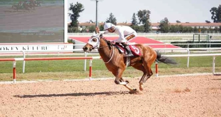 ÇGC Koşusunu 'Bebesha' kazandı