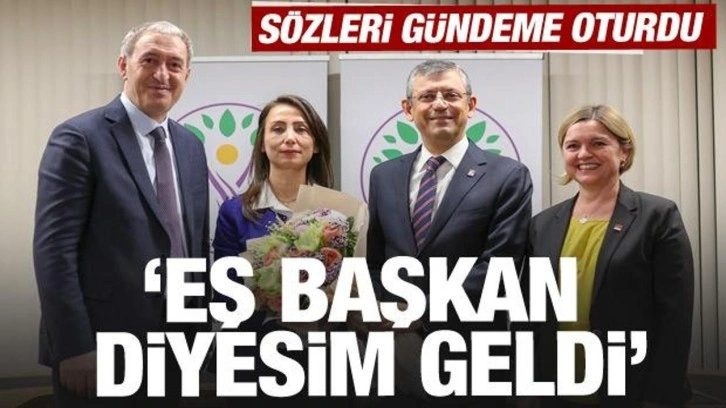 CHP- DEM Parti (HDP) görüşmesinde gündeme oturan sözler: Eş Başkan diyesim geldi