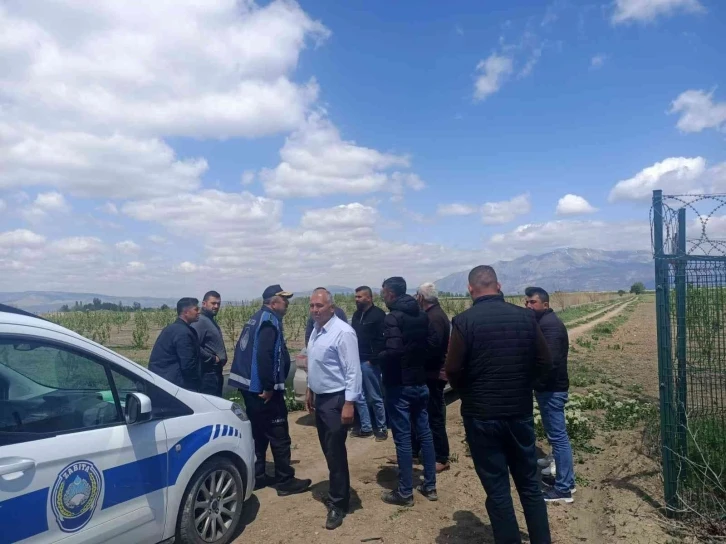 Çiftçi ve zabıta dolu topu avına çıktı
