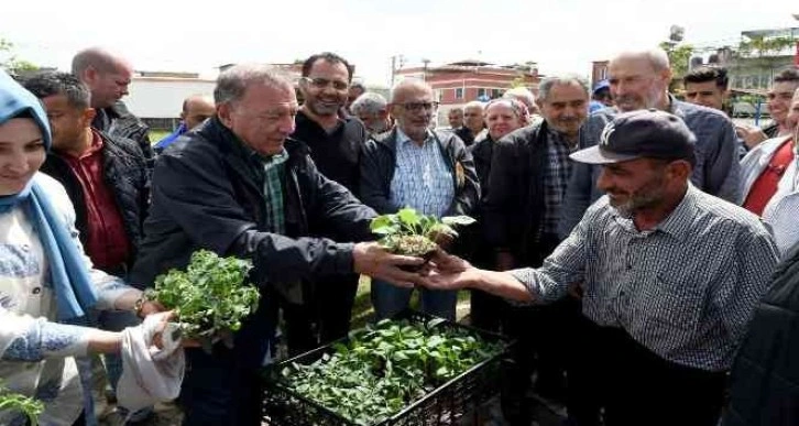 Çiftçilere 10 bin fide ve fidan dağıtıldı