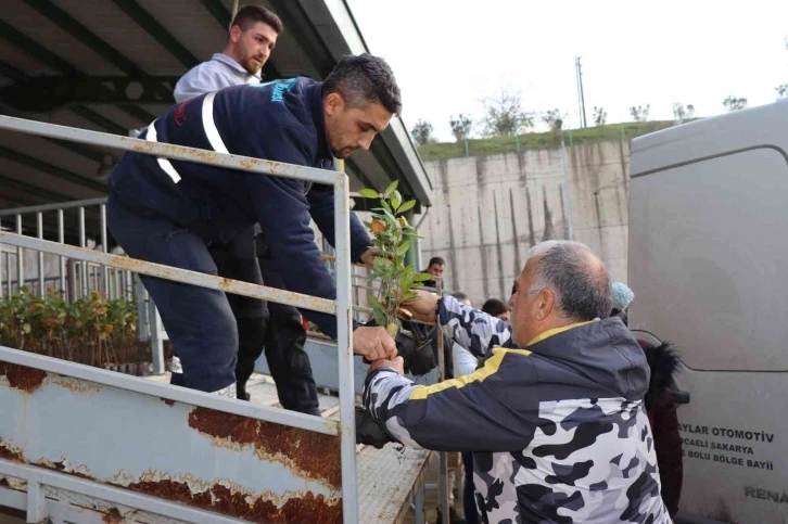 Çiftçilere "süper meyve" fidanı dağıtıldı
