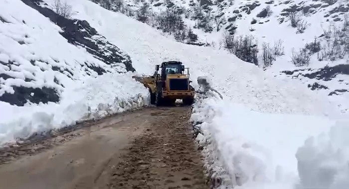 Çığ nedeniyle kapanan Yüksekova-Şemdinli kara yolu açıldı
