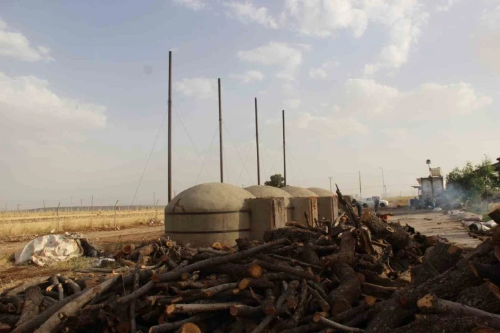 Cizre’de 300 derecelik fırınlarda meşe ağacından mangal kömürü üretiyorlar
