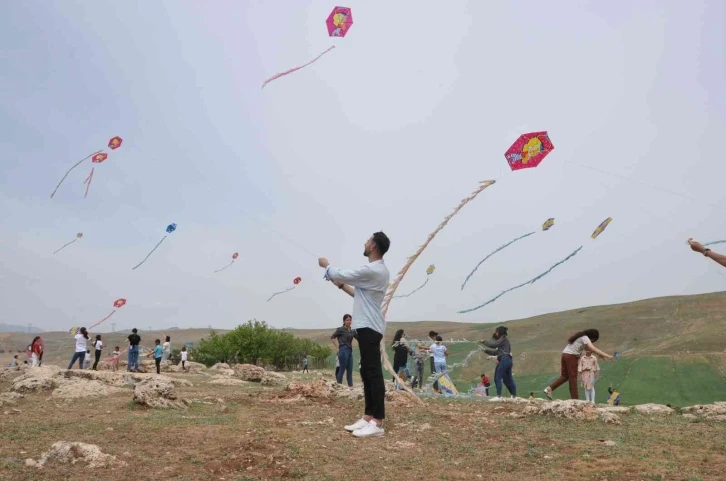 Cizre’de öğrenciler uçurtma şenliğinde doyasıya eğlendi
