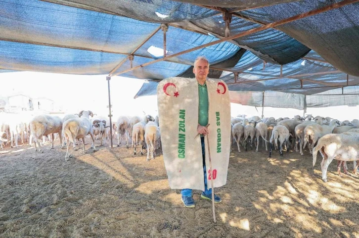 Çoban kepeneği giyen Başkan Zolan koyun kırktı
